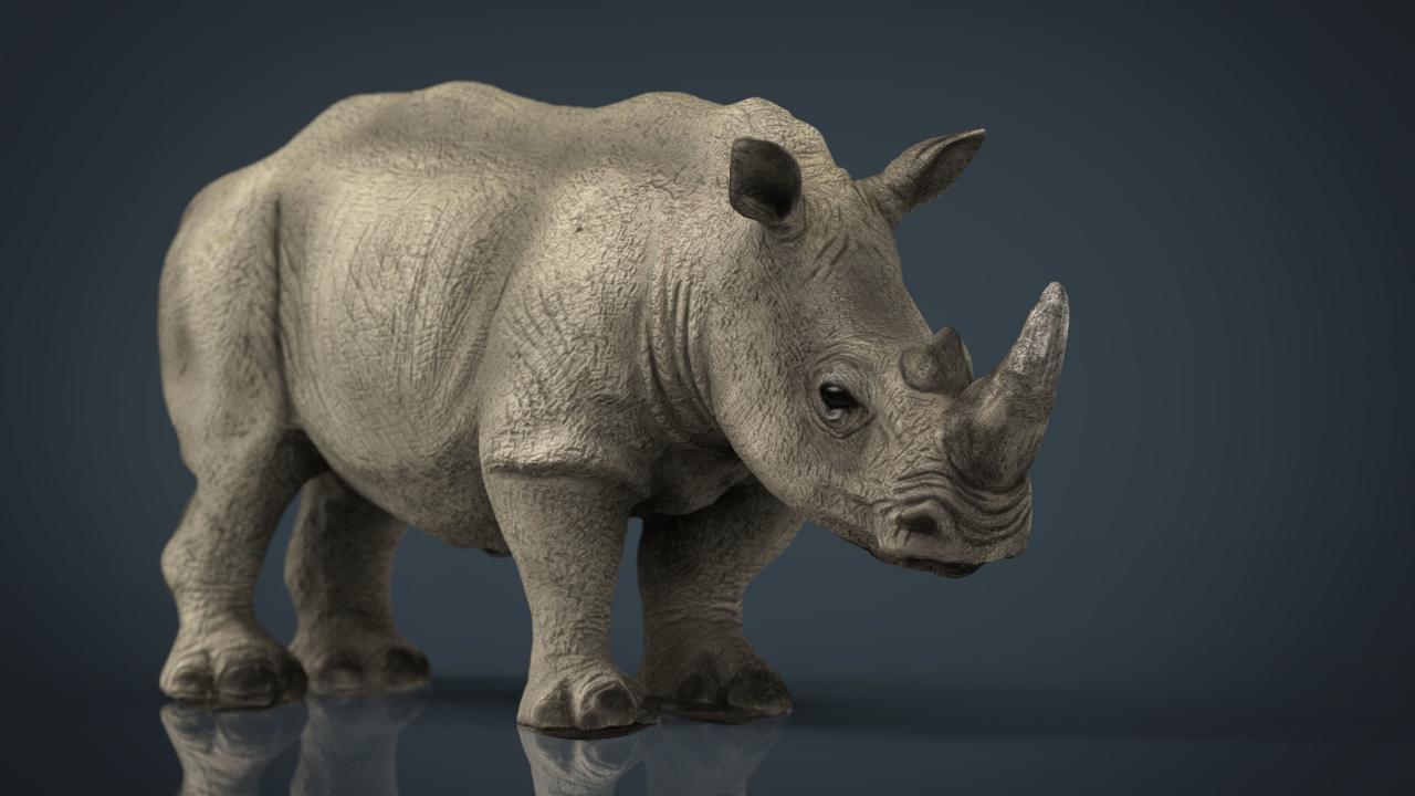 Rhinoceros 3d